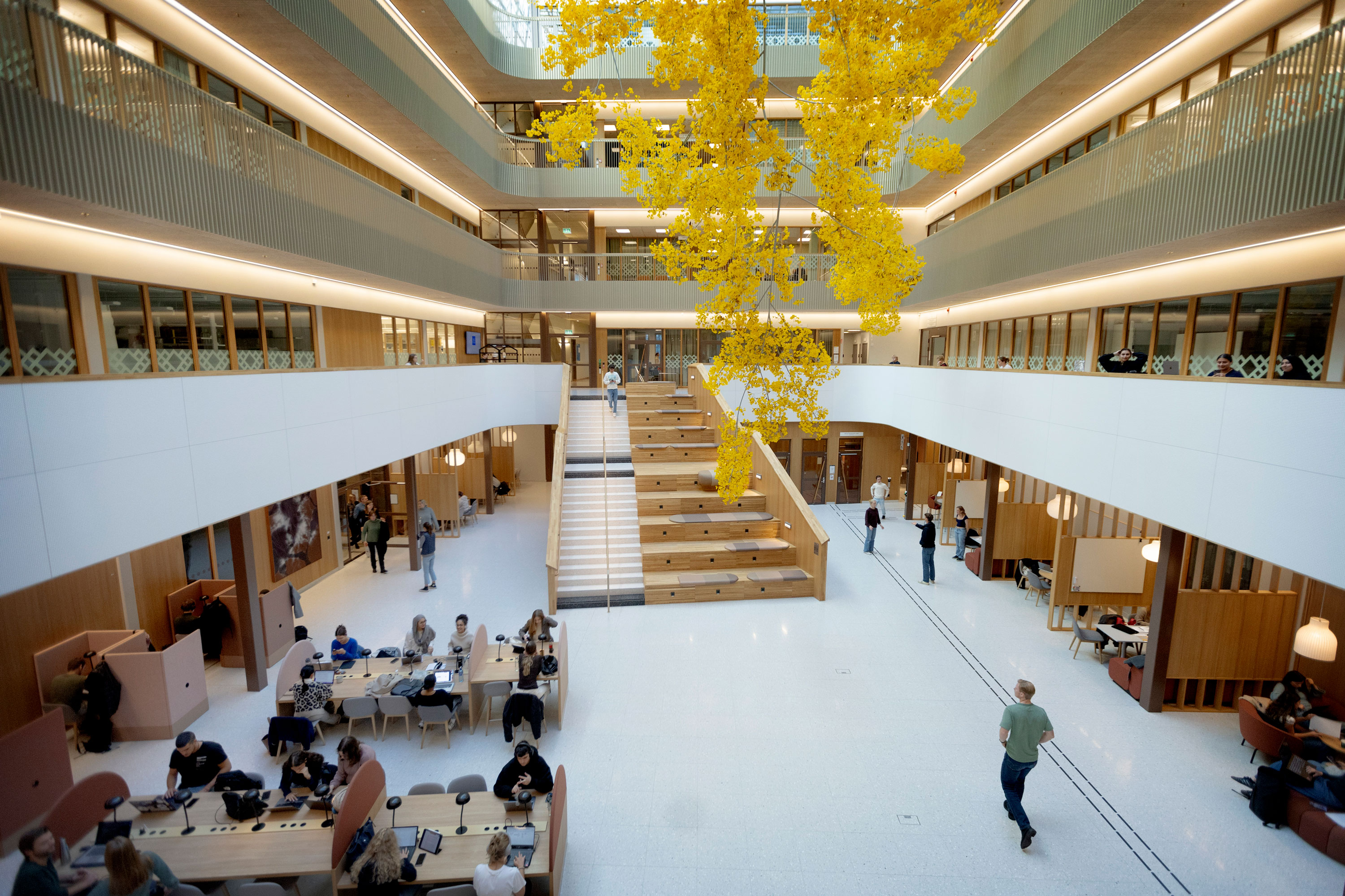 Översiktsbild över atriet i byggnaden Natrium