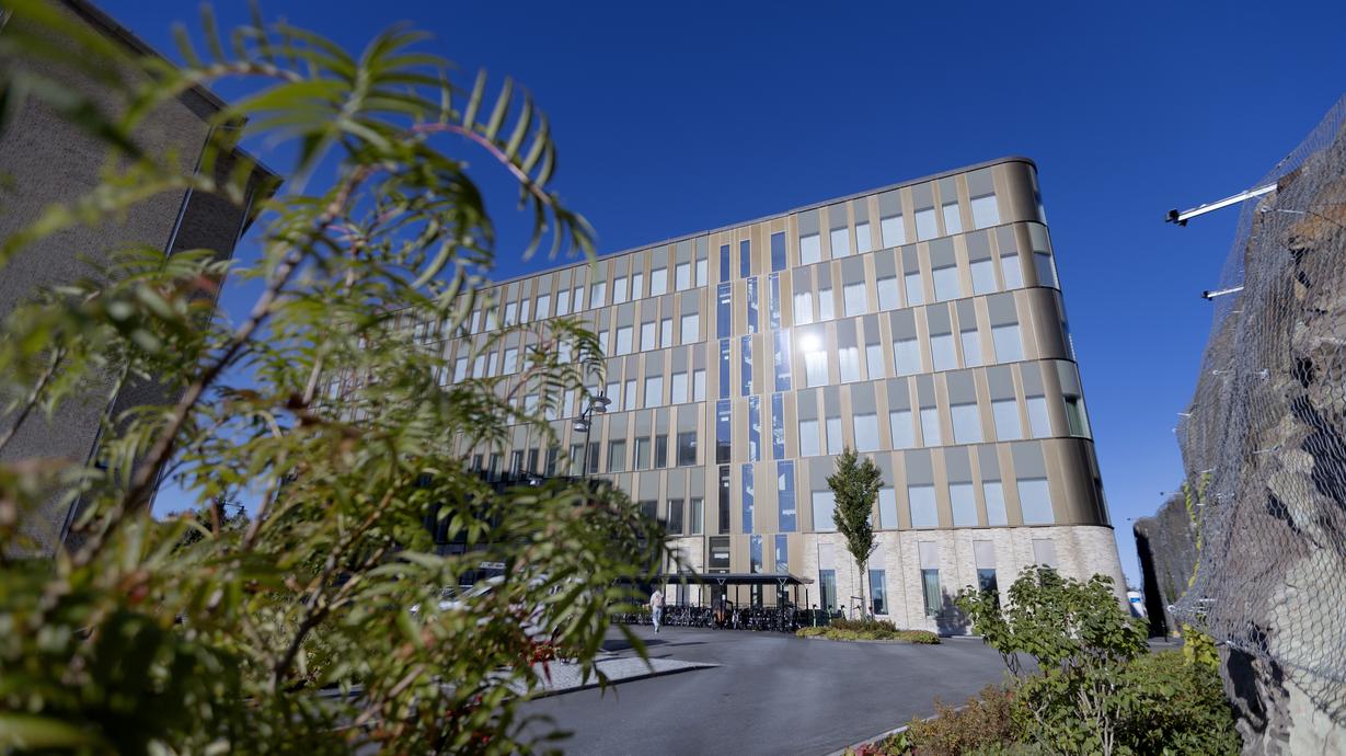 Exteriör bild på byggnaden Natrium