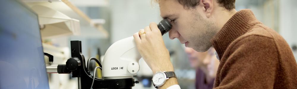 En student arbetar i ett labb