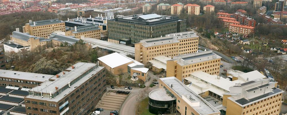 Bild över Medicinarberget med universitetets byggnader.