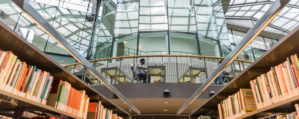 Foto inifrån Pedagogiska biblioteket