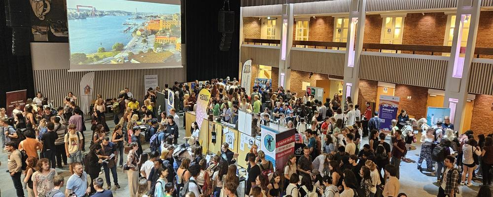 students mingle at the fair