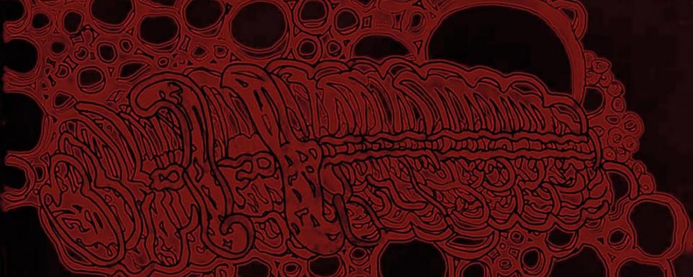 Logotyp