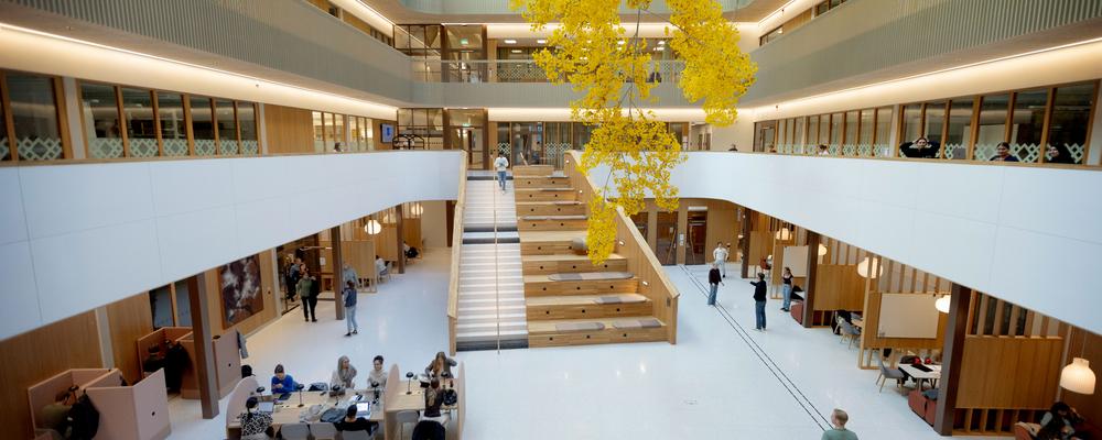Översiktsbild över atriet i byggnaden Natrium