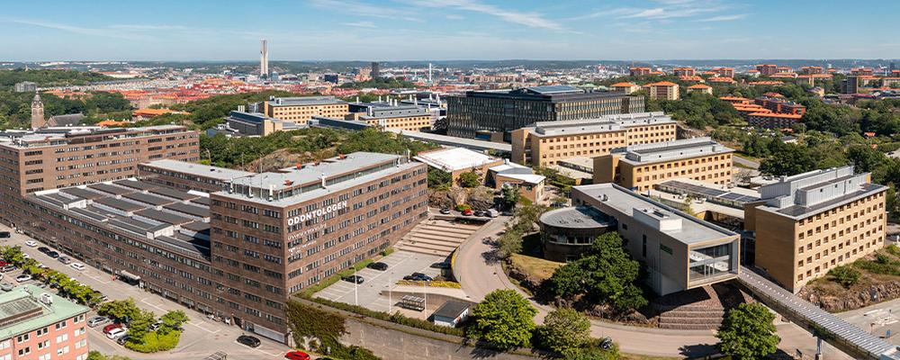 Bild över Medicinarberget med universitetets byggnader.