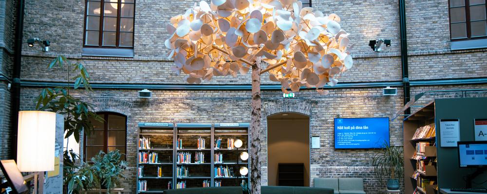 Pedagogiska biblioteket