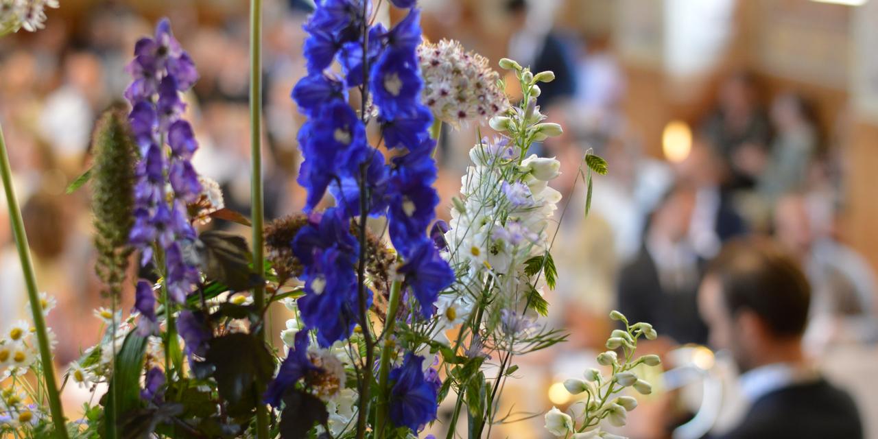 Closing Ceremony 2025 Student Portal