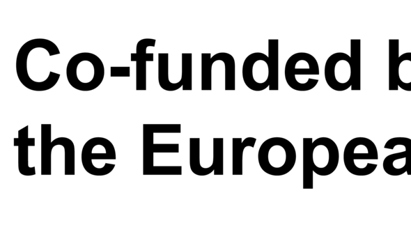 EU logo with the text "Co-funded by the European Union"